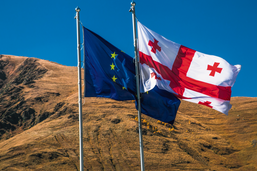 National Convention on the EU in Georgia