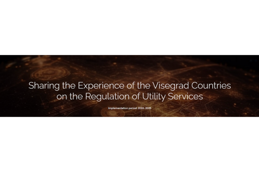 Sharing the Experience of the Visegrad Countries on the Regulation of Utility Services